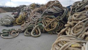 WasteTrade Denmark A/S logo